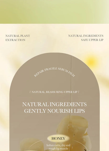 BIOAOUA Baume à lèvres au miel et à la vitamine E hydratant, anti-gerçures, nourrissant, rouge à lèvres, produits de soin pour les lèvres et la peau