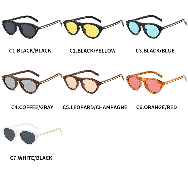 lunettes de soleil vintage petites rondes œil-de-chat pour femmes, nouvelle mode à rivets, sexy, noires léopard, lunettes de soleil tendance pour dames, lunettes d’extérieur modernes