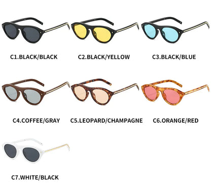 lunettes de soleil vintage petites rondes œil-de-chat pour femmes, nouvelle mode à rivets, sexy, noires léopard, lunettes de soleil tendance pour dames, lunettes d’extérieur modernes