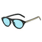 lunettes de soleil vintage petites rondes œil-de-chat pour femmes, nouvelle mode à rivets, sexy, noires léopard, lunettes de soleil tendance pour dames, lunettes d’extérieur modernes